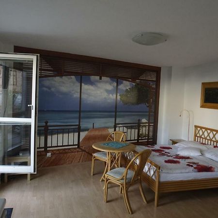 Apartmán Terrassentraum Vídeň Exteriér fotografie